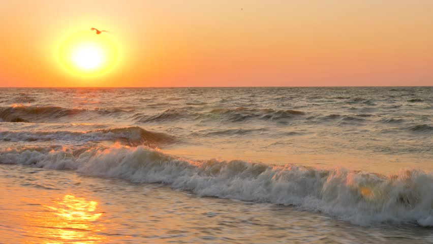 Sunset water shore sea sunrise beach sea summer beach morning sunrise over water sunrise summer shore waves lapping at shore sky. Vacation background. Foamy waves sun beach waves sunset sea background | Shutterstock HD Video #1102718185