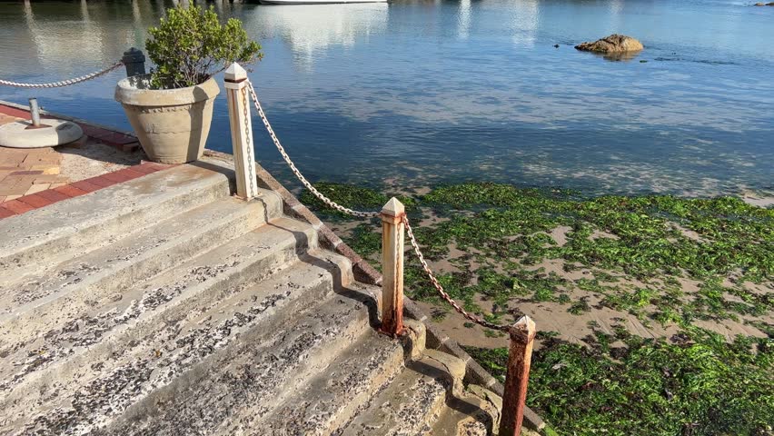 Steps going down to a sea lettuce beach during low tide