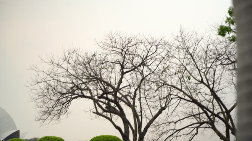 The Lotus Temple is located in New Delhi, India