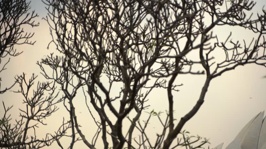The Lotus Temple is located in New Delhi, India