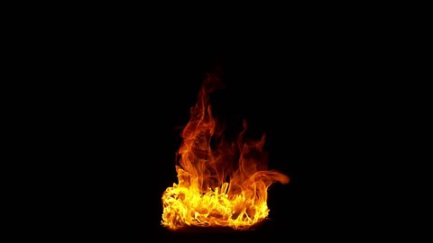 Super Slow Motion Shot of Real Fire Flame Isolated on Black Background at 1000fps. Stock-video