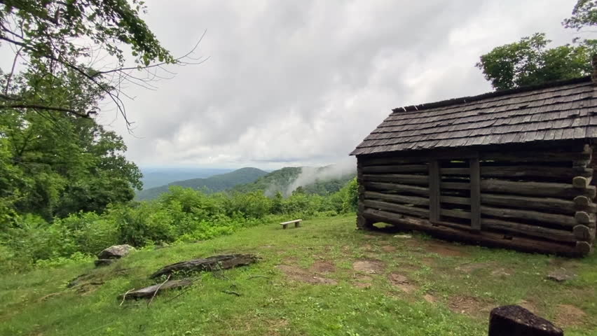 Log settler