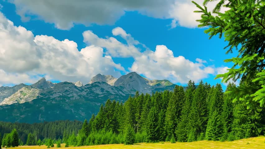 View of Yellowstone National Park in the USA, Wyoming