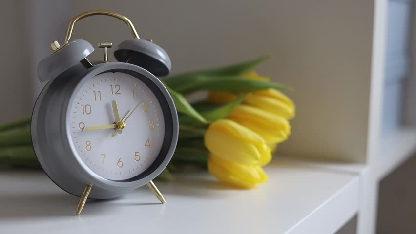 Alarm clock stands on the table and yellow tulips