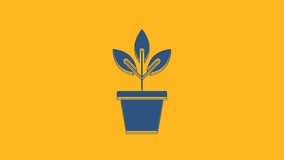 Blue Flowers in pot icon isolated on orange background. Plant growing in a pot. Potted plant sign. 4K Video motion graphic animation.