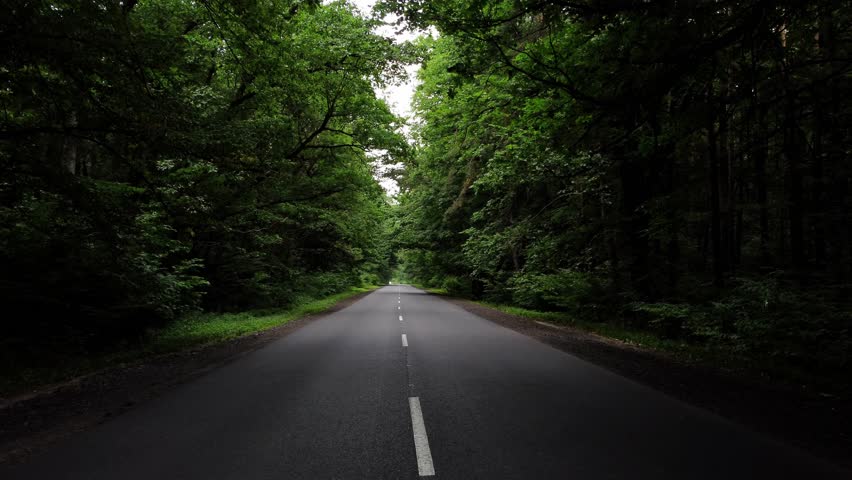 Beautiful road through the forest. Camera movement by the asphalt road between bright green trees on a clear sunny day, shadow from trees on summer day. Freeway through dense forest corridor.