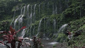 Beautiful waterfall in the jungle of Bali. A stream of water falls from high rocks, splitting into streams, creating mist.