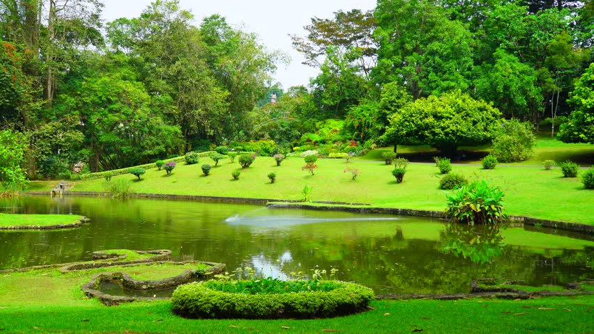 Pond and green lawn in the park