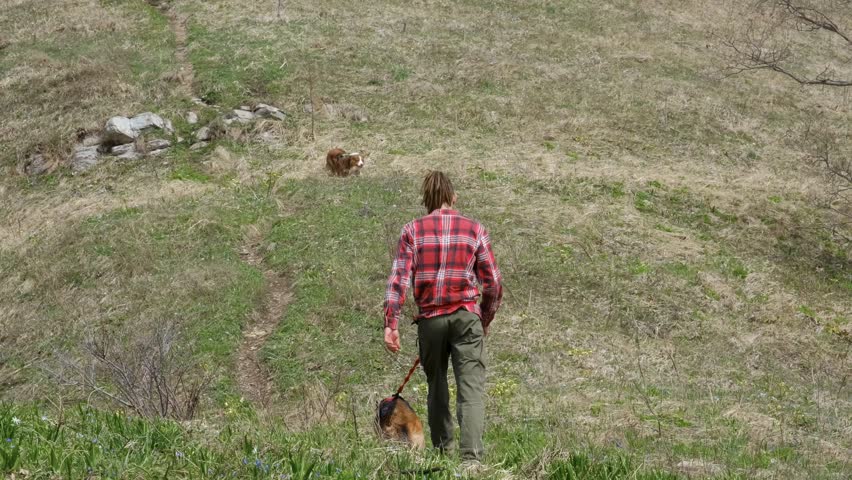 Concept of travel. Young Caucasian man goes to mountains with two dogs. Guy is pulled on leash by German Shepherd, and Australian runs ahead on trail. Hiking with pets. Rear view.