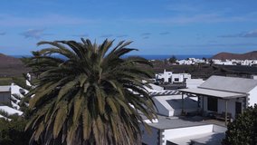 village white houses villas island Lanzarote. Magic aerial top view flight drone