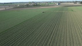 farmer driving tractor working on a grwing garlic field , aerial footage 4k