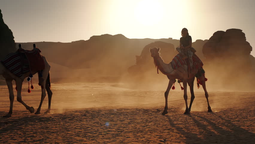 Group of camels, seats ready for tourists, walking in AlUla desert on a sunny day afternoon, young woman riding last animal, sandstone rocks formation background | Shutterstock HD Video #1102814483