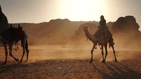 Group of camels, seats ready for tourists, walking in AlUla desert on a sunny day afternoon, young woman riding last animal, sandstone rocks formation background - Powered by Shutterstock - Get 15% off with code: PIKWIZARD15