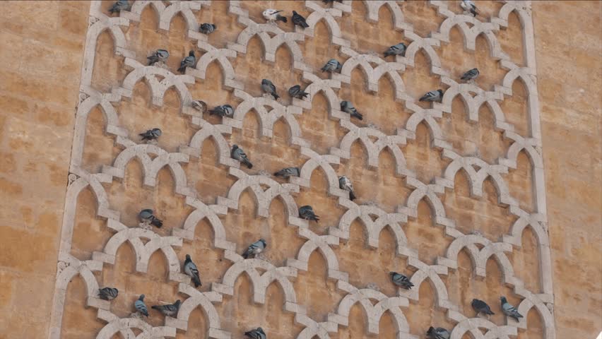 TUNIS, TUNISIA - Pigeons around
Al-Zaytuna Mosque,Ez-Zitouna Mosque, Interior view - the oldest in the city | Shutterstock HD Video #1102818737