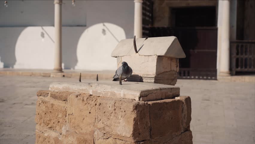 TUNIS, TUNISIA - Pigeons around
Al-Zaytuna Mosque,Ez-Zitouna Mosque, Interior view - the oldest in the city | Shutterstock HD Video #1102818739