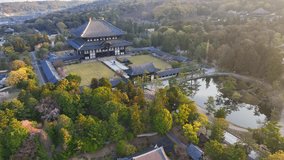 Nara temple aerial view, Japanese historic town of Nara with oriental buddhist shrine of Todaiji at sunrise, Japanese culture and tourism in Japan. High quality 4k footage - Powered by Shutterstock - Get 15% off with code: PIKWIZARD15