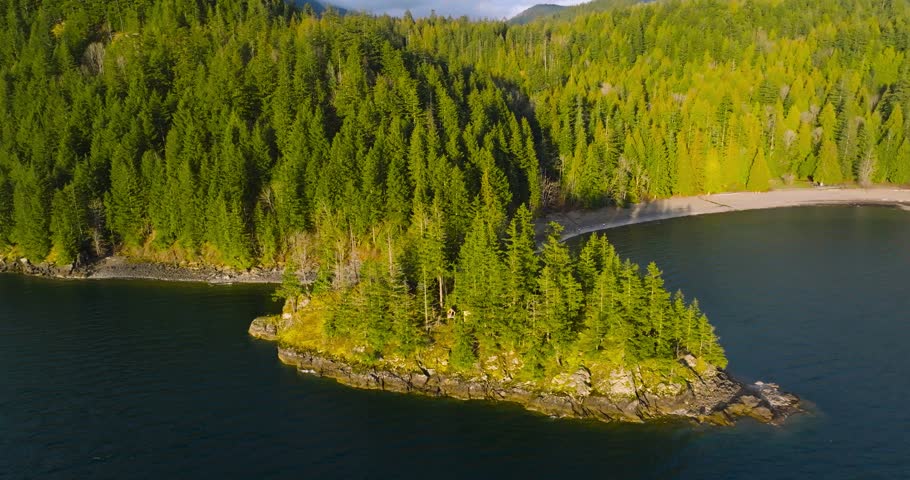 Aerial view of Harrison Lake and forest with mountain range in background