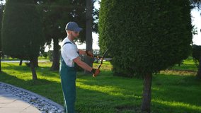 a male gardener cuts park thuja trees with garden scissors - Powered by Shutterstock - Get 15% off with code: PIKWIZARD15
