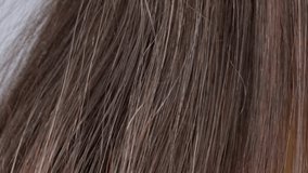 wooden comb, brush in female hand, woman combing long brown hair, tangles of fallen hair wound on brush pins, concept early graying, hair loss, health, symptoms, treatment alopecia, hormonal imbalance - Powered by Shutterstock - Get 15% off with code: PIKWIZARD15