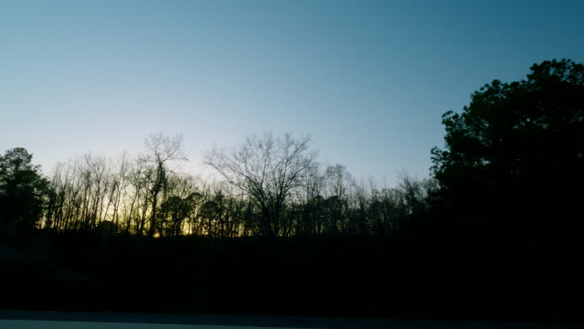 Pov side point of view of driving in car vehicle road trip with forest at sunset evening time