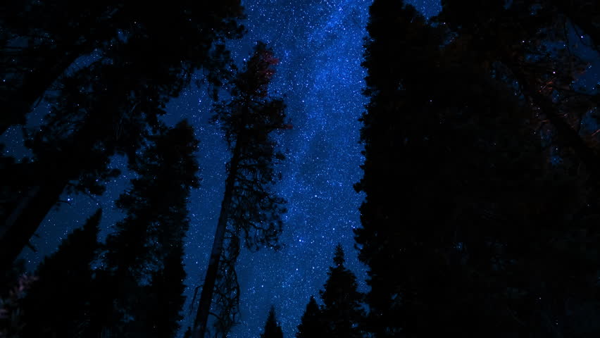 Sequoia National Park Perseid Meteor Shower and Milky Way Galaxy Rise in North Sky Sierra Nevada Mountains California USA