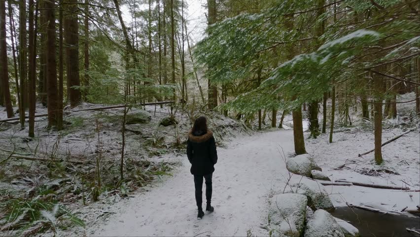 Adventure Woman Walking on Scenic Hiking Trail in Forest with white snow by Rice Lake. North Vancouver, British Columbia, Canada. Winter Season