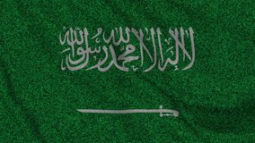 Get your hands on the premium-quality video file of the Saudi Arabia flag today! Perfect for all your design needs. Download now and elevate your creativity.