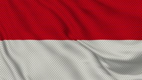 A captivating video showcasing the Indonesian flag billowing in the wind. The footage is dynamic and patriotic, representing the spirit and culture of the country.