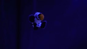 A tropical clown fish swims in a green anemone. Nemo and the anemone. Underwater footage of non-wild fish on a coral reef.