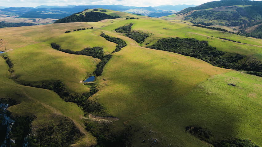 Parakanui bay vast landscape of green hills and nature. conservation area with rivers and plants. wild life area adventures trip
