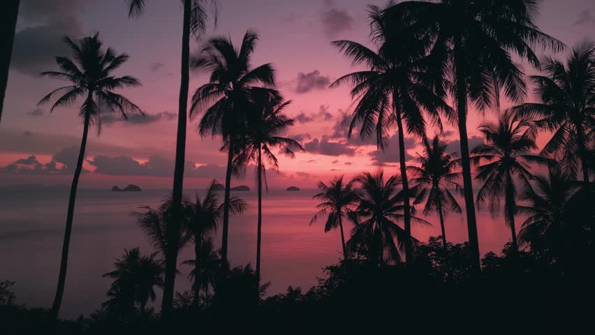 Red pink sunset on sea with small islands, silhouettes of palm trees on the beach. Cinematic aerial video of paradise tropical beach at pink sunset, beautiful tropical landscape Royalty-Free Stock Footage #1102887087