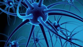 Neurons and brain connections 3D render. Neurotransmitters, electricity in the brain, synapses. - Powered by Shutterstock - Get 15% off with code: PIKWIZARD15