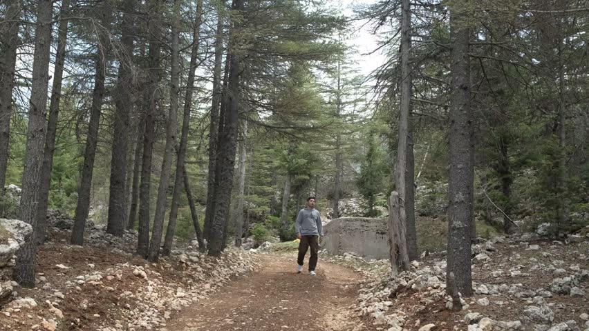 Image of young man trekking on dirt road in forest, man doing sports in nature, exercising on dirt road in coniferous tree forest