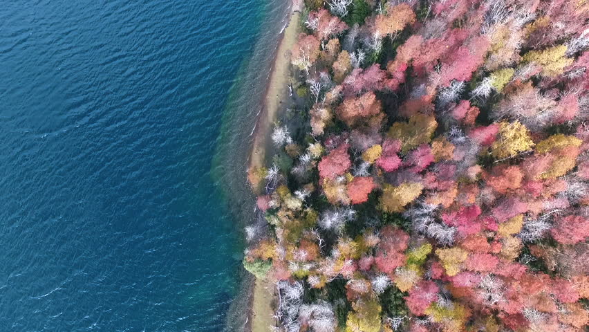 Aerial overhead view of the forest and lake in autumn. Beautiful fall red, yellow and orange colors in the trees foliage. View of a wooden dock in the turquoise color water lake.