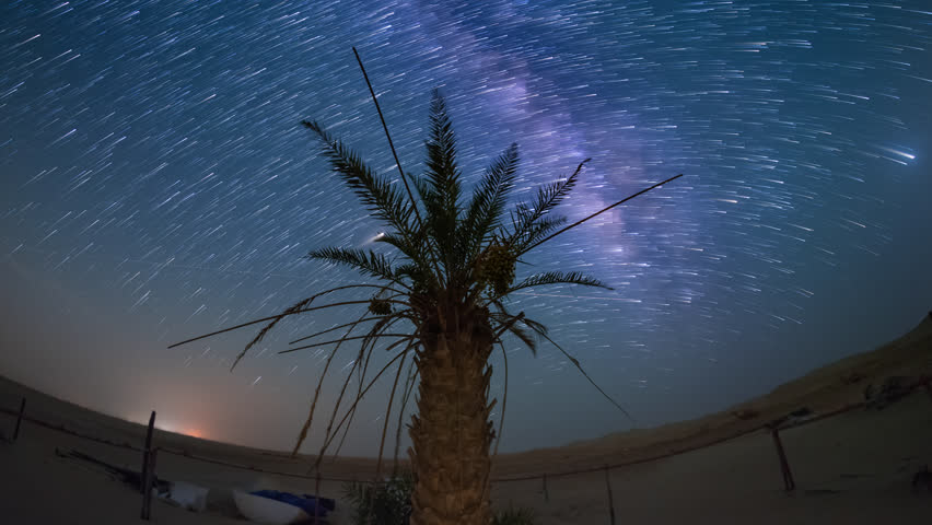 4K Time lapse of night sky milky way passing dates palm tree dark universe in desert.