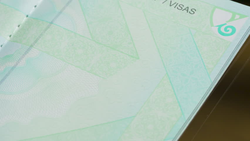 Stamp Permit to Enter Saudi Arabia. The concept of obtaining a stamp in the passport on entry into the territory of another state Royalty-Free Stock Footage #1102919699