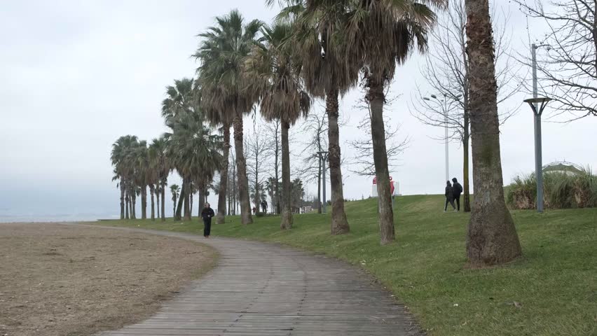 Young jogging on the beach band covered with palm trees, man jogtrot at a leisurely pace listening to music in autumn