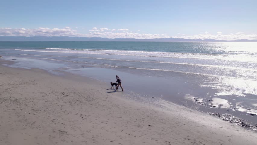 Man playing with dog on beach on sunny day, beautiful coastline, ocean, West Coast Canada, Vancouver Island. 4K 24FPS.