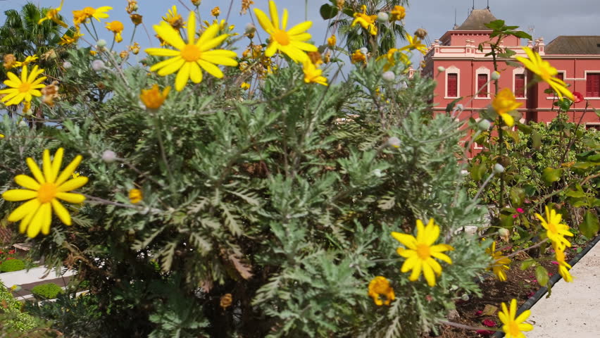 Jardines del Marquesado de la Quinta Roja garden in La Orotava town, Tenerife, Canary islands, Spain. Slow steadicam revealing footage. Tropical botanical gardens in La Orotava town on Tenerife island