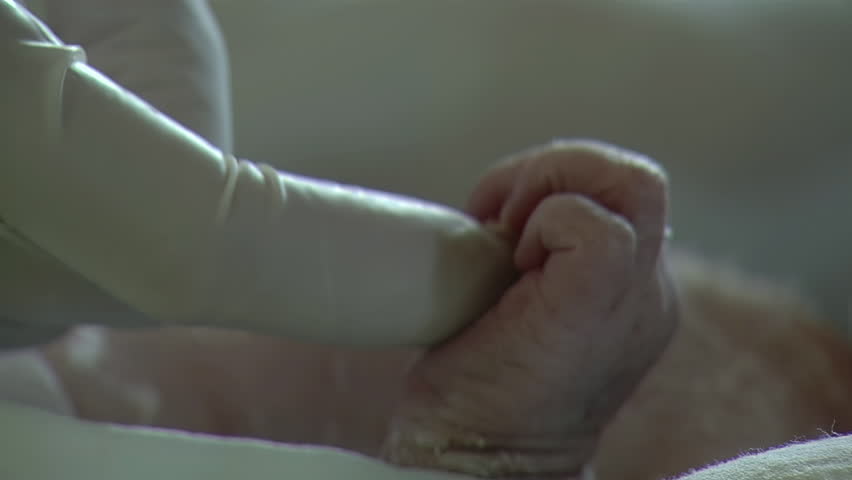 Premature Newborn Infant Holding the Finger of a Nurse in Neonatology Department. Closeup. Royalty-Free Stock Footage #1102937643