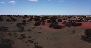 4K sunny day aerial video of famous endless scenic red sand dunes of Kalahari Desert in Namibia, southern Africa