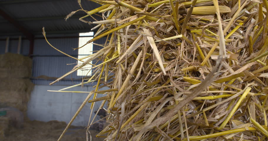 Hay bales in farm building close up of straw stalks