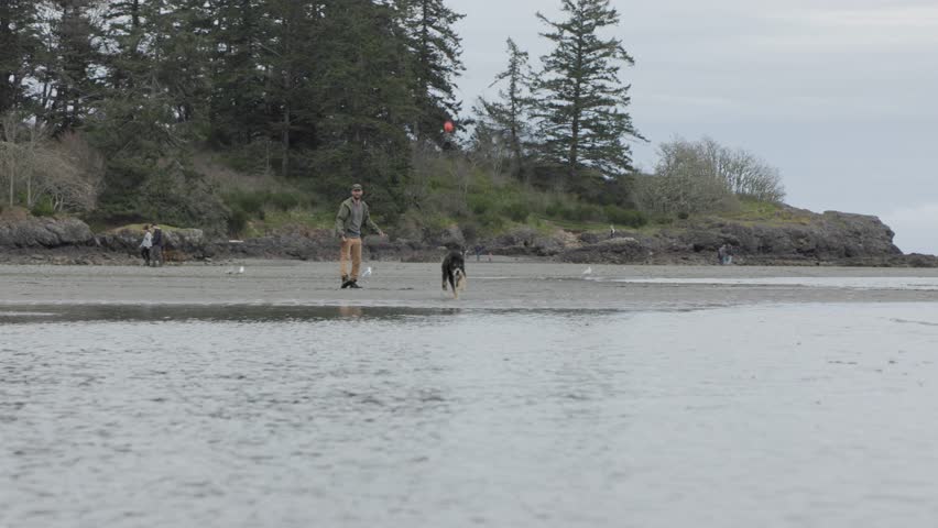 Man playing with dog on beach, beautiful coastline, ocean, West Coast Canada, Vancouver Island. 4K 24FPS.