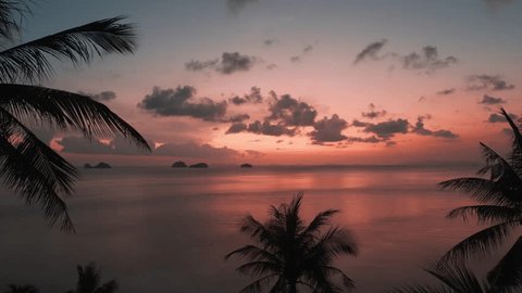 Drone shot of Incredible red sunset on sea with silhouettes of palm trees on the beach. Cinematic aerial shot of paradise tropical beach at red sunset, beautiful tropical scenery. 스톡 비디오