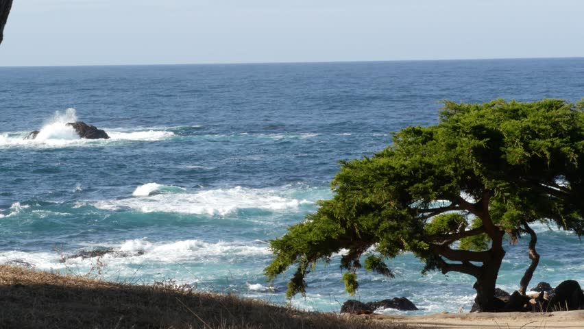 Rocky craggy ocean coast and cypress grove, blue water waves and coniferous pine tree forest, scenic 17-mile drive, Monterey nature near Point Lobos, Big Sur and Pebble beach, California USA. Seascape | Shutterstock HD Video #1102976255