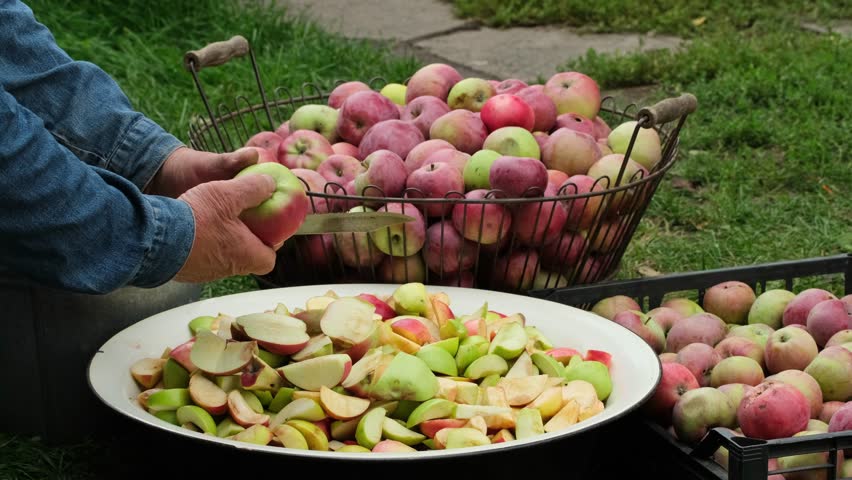 Male hands cutting a lot of apples into pieces in the garden. Fresh red apple harvest. Cutting and preparing a fresh apple for eating. Cut fruits for jam cider or juice outdoors slow motion Royalty-Free Stock Footage #1102976437
