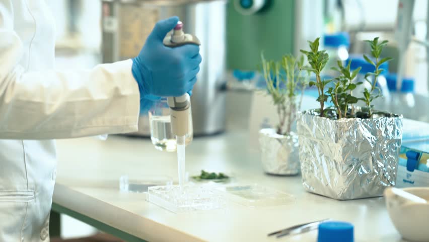 testing a plant sample in a biochemical science laboratory. a scientist studies the genetics of plants Royalty-Free Stock Footage #1102976739