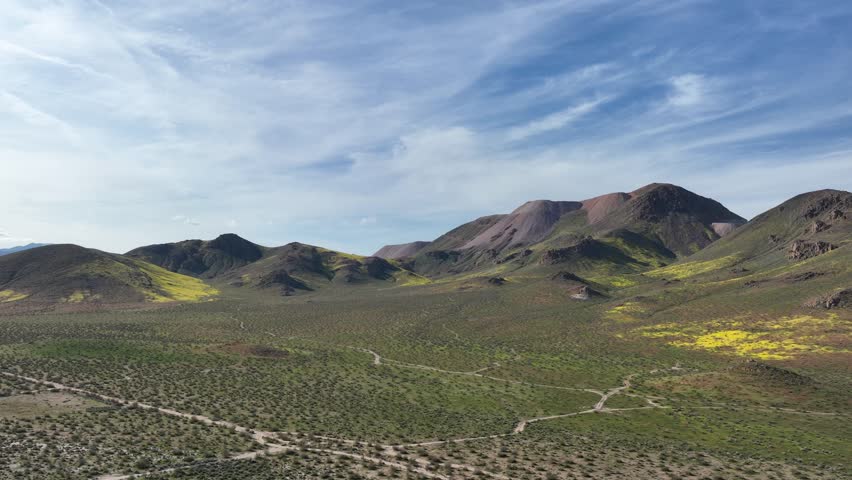 Wildflowers bloom in the Mojave Desert landscape after a wet spring - aerial pull back reveal