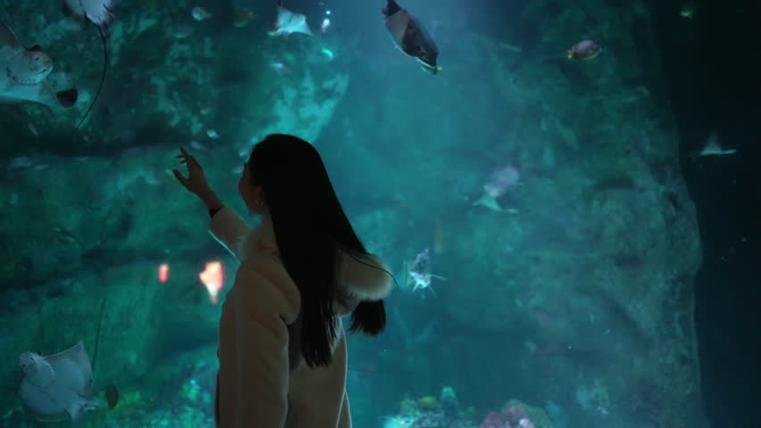 Young Asian woman looking at shoal of fish in large glass tank during travel at underwater zoo Aquarium. Attractive girl enjoy and fun learning and looking sea life at oceanarium on holiday vacation. | Shutterstock HD Video #1102981455