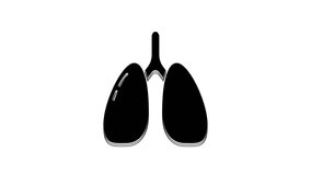 Black Lungs icon isolated on white background. 4K Video motion graphic animation.